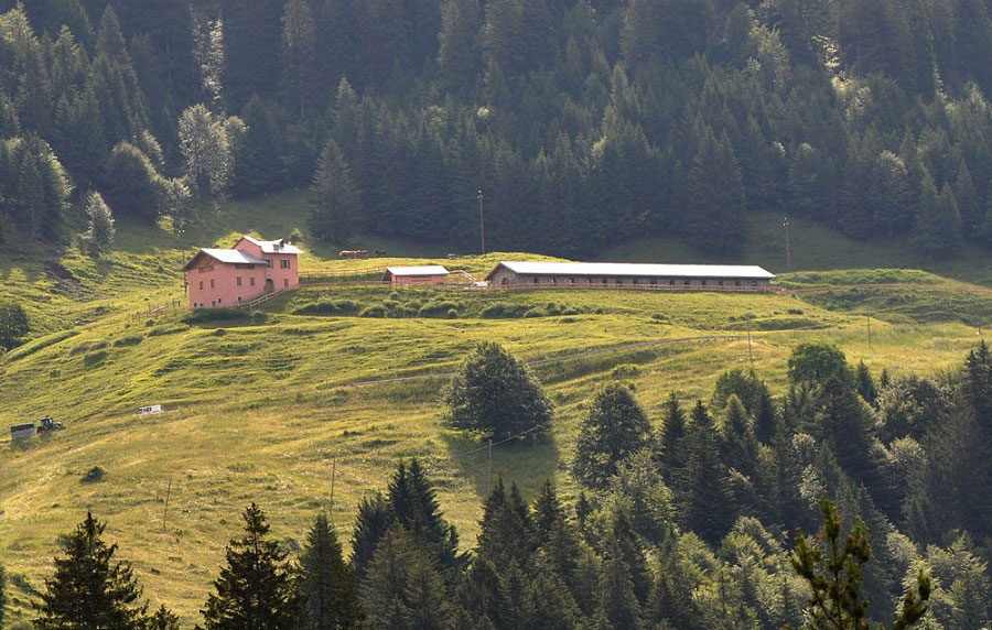 R-Estate in Rete