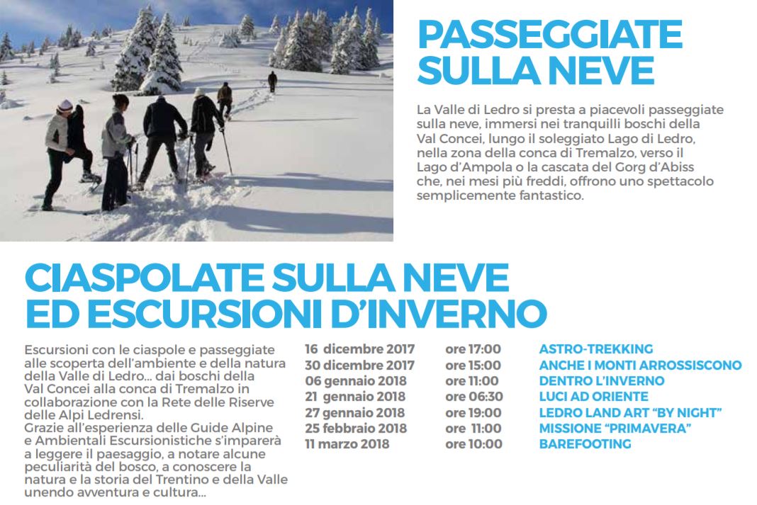 Sintesi attività